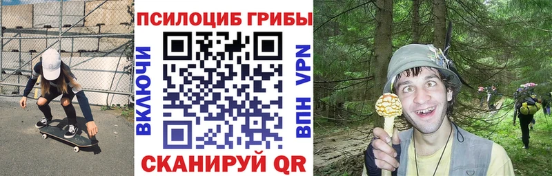 Псилоцибиновые грибы Magic Shrooms  что такое   Джанкой 