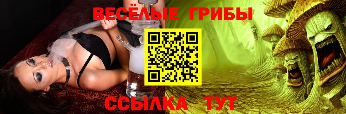 Псилоцибиновые грибы Psilocybine cubensis Джанкой